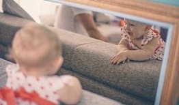 宝宝镜子爆料视频大全,揭秘萌娃成长瞬间视频大全