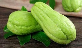 吃瓜刘网红,揭秘娱乐圈背后的那些事儿